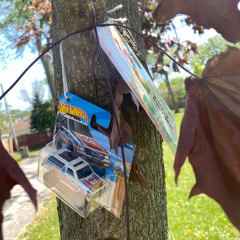 an image of a hot wheels truck hanging in a tree for the touch-a-truck scavenger hunt