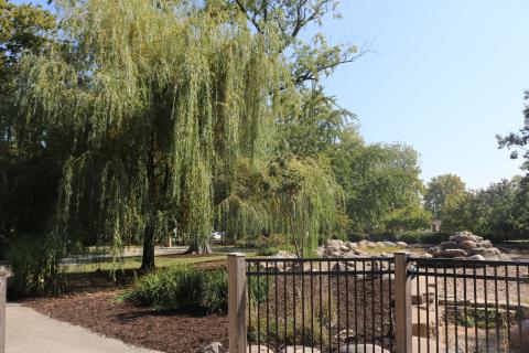 an image of the trees in Proksa Park