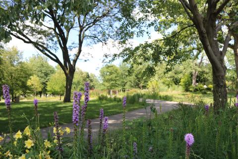 An image of a sunny day with green grass, trees and flowers at Proksa Park